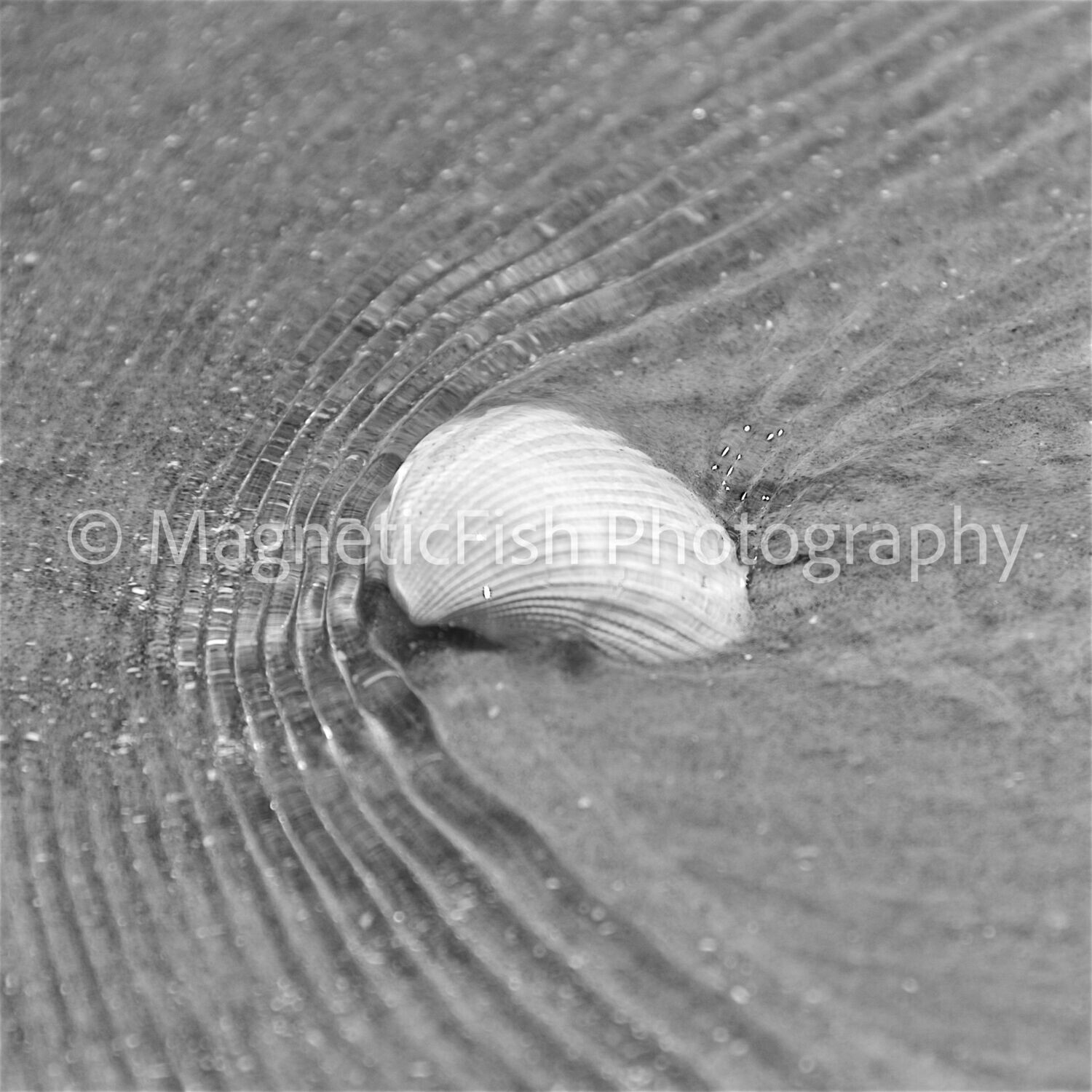 Scenes From The Beach (set of 3)