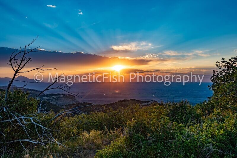 Mesa Verde Sunset III