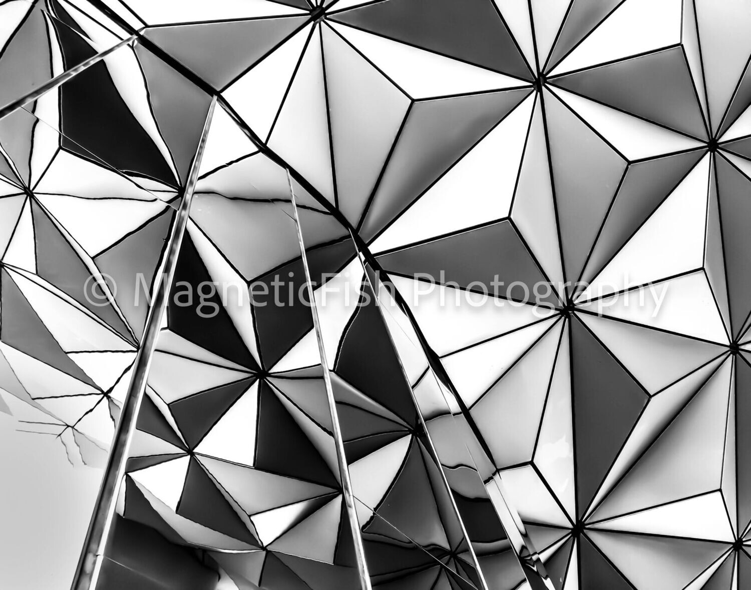 Spaceship Earth