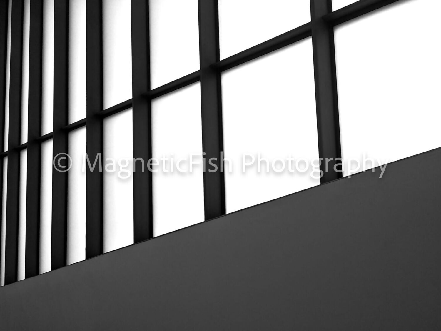 Lines