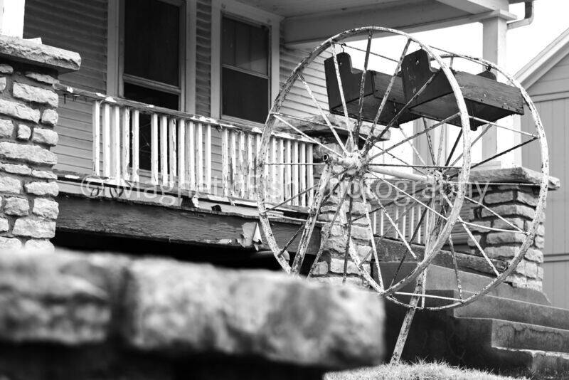 Front Yard Ferris Wheel