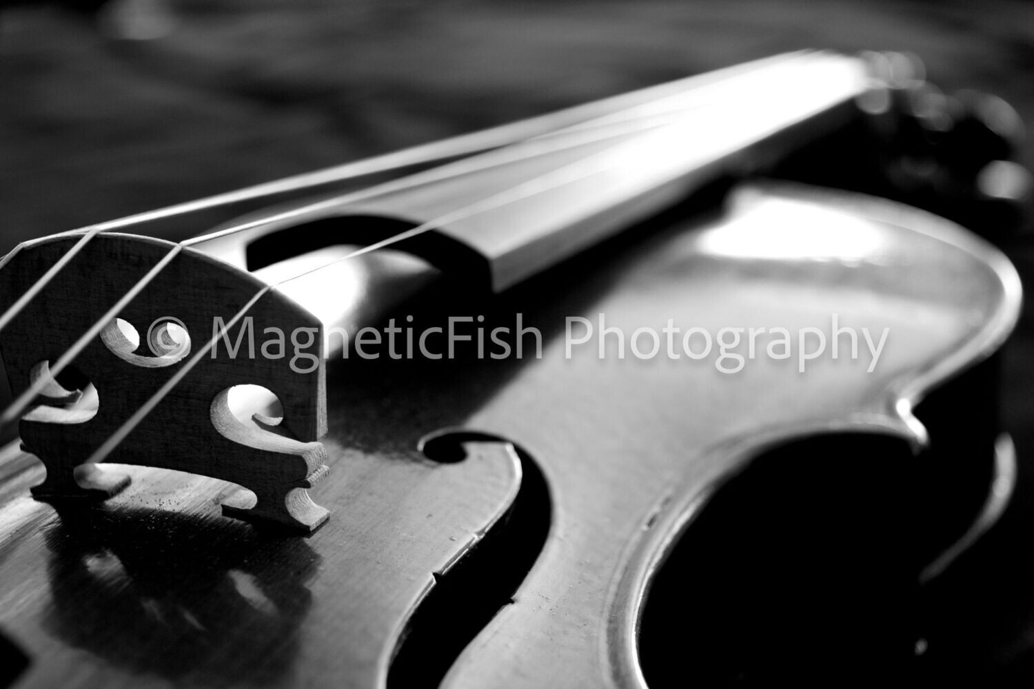 Four Strings