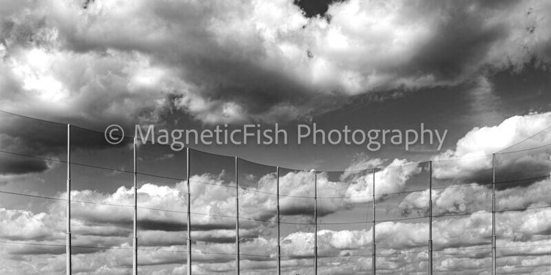 Fenced In