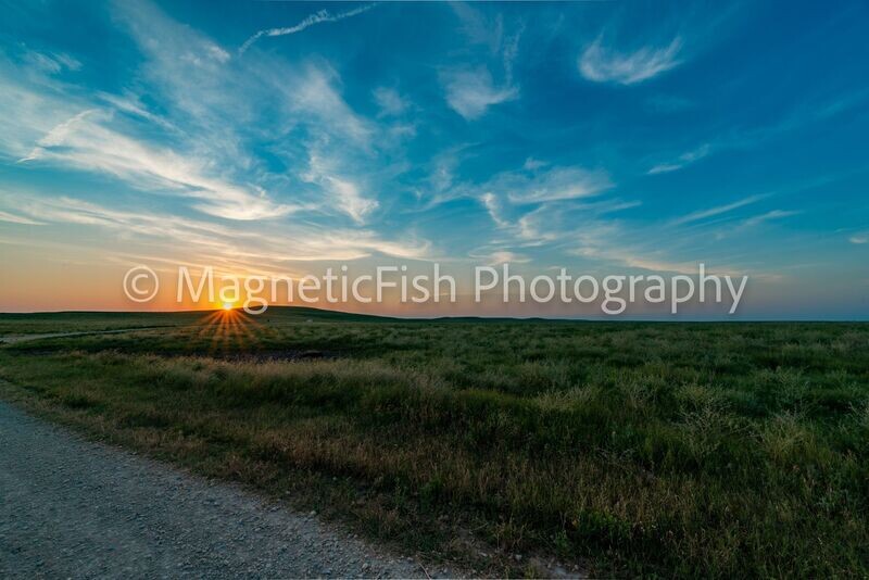Sunset Road II