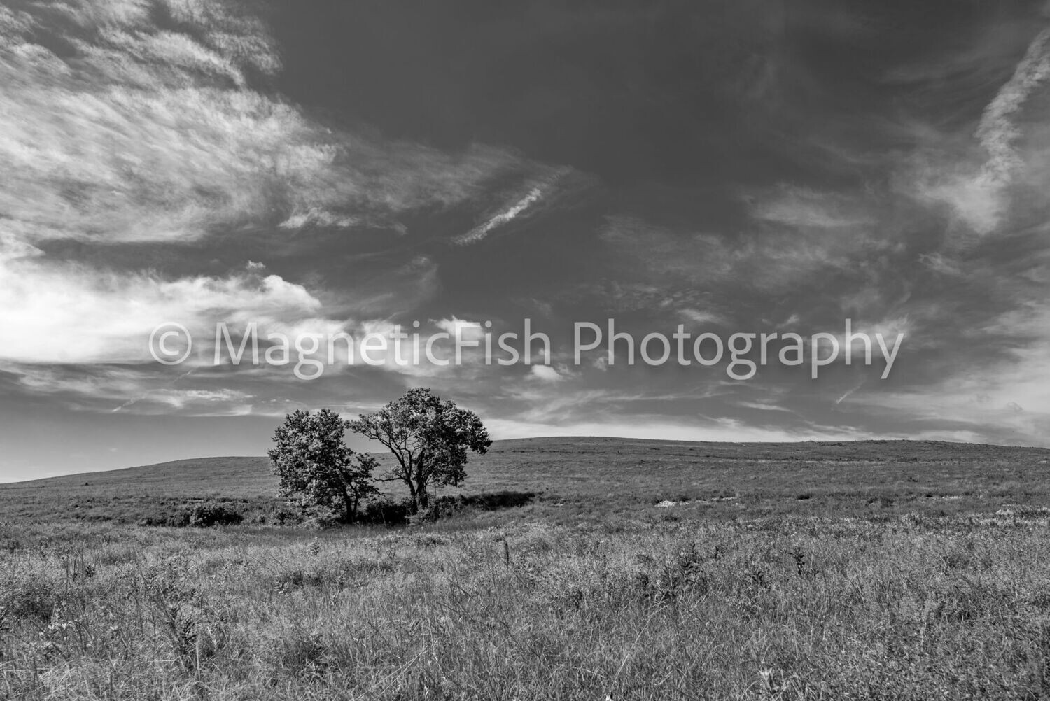Flint Hills Cloudscape I