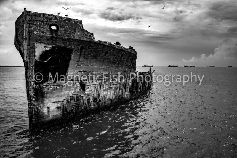 Shipwreck & Seagulls