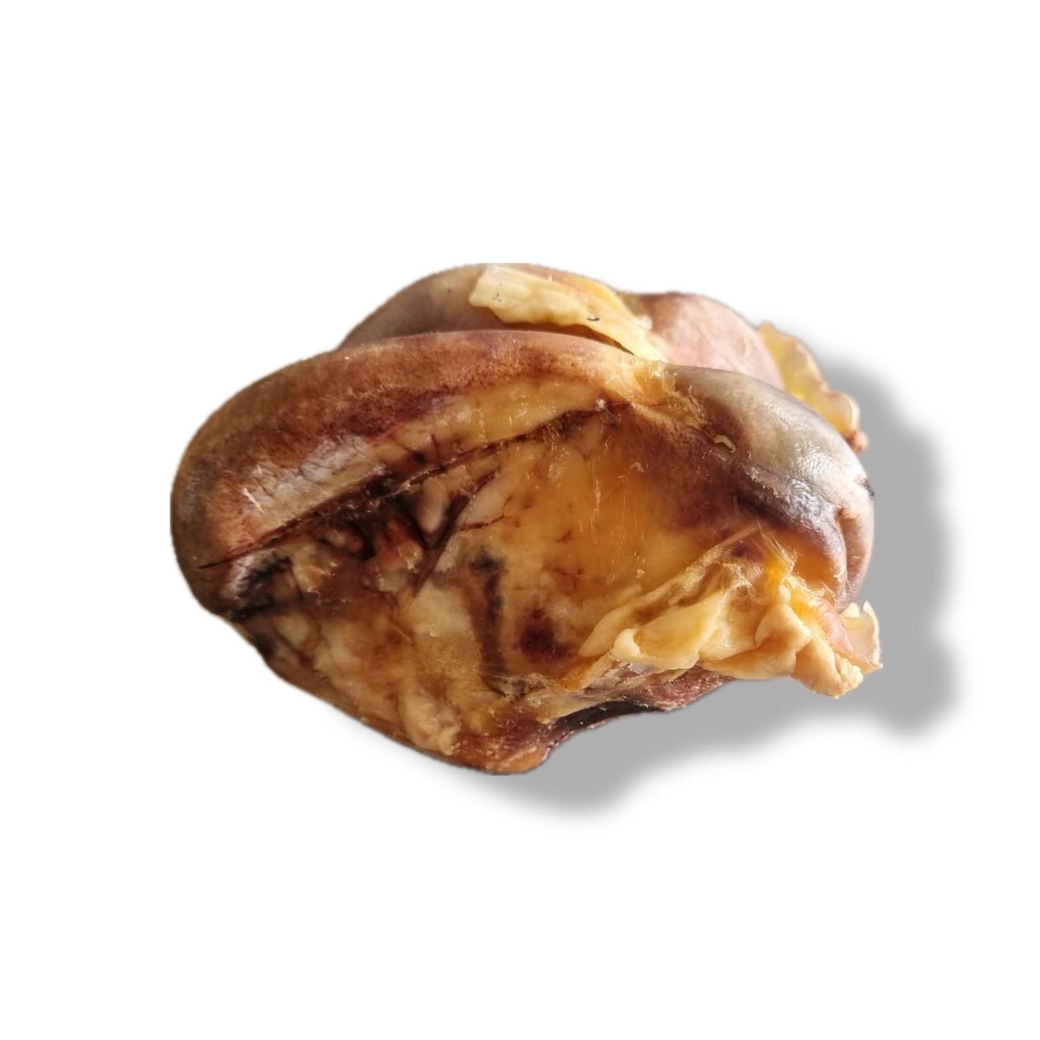 RODILLA DE RES