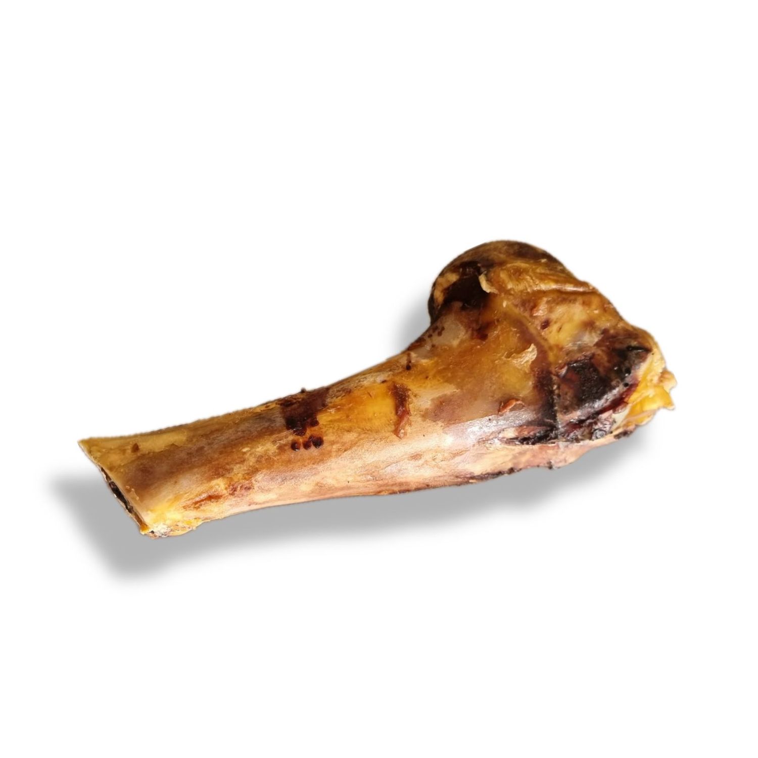 HUESO MEDIO FEMUR