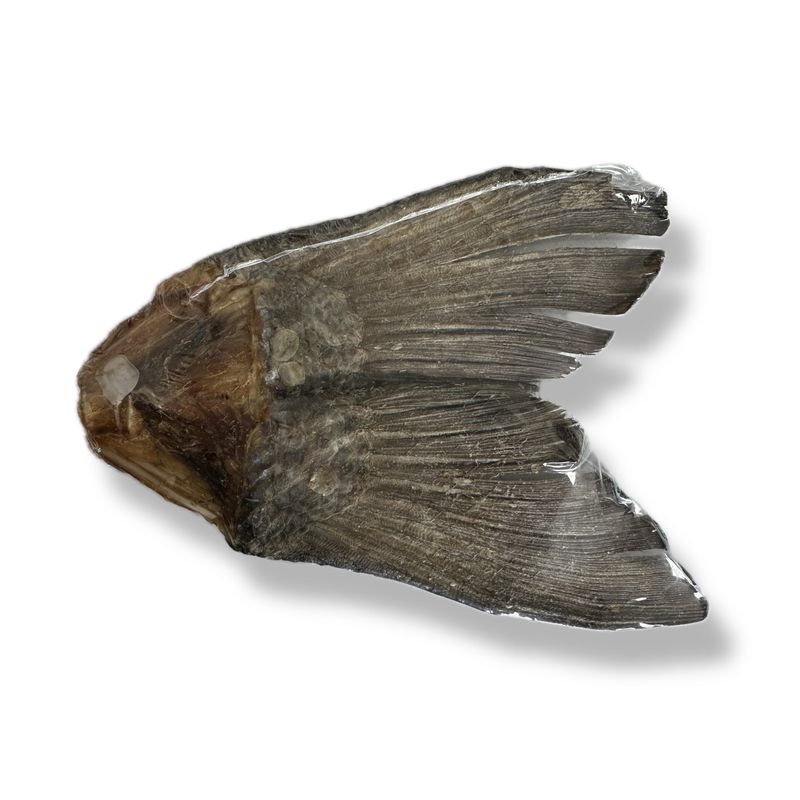 COLA DE PESCADO