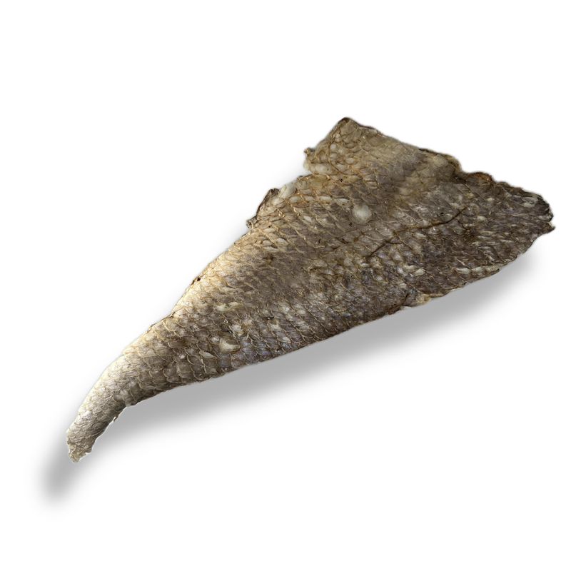 PIEL DE PESCADO