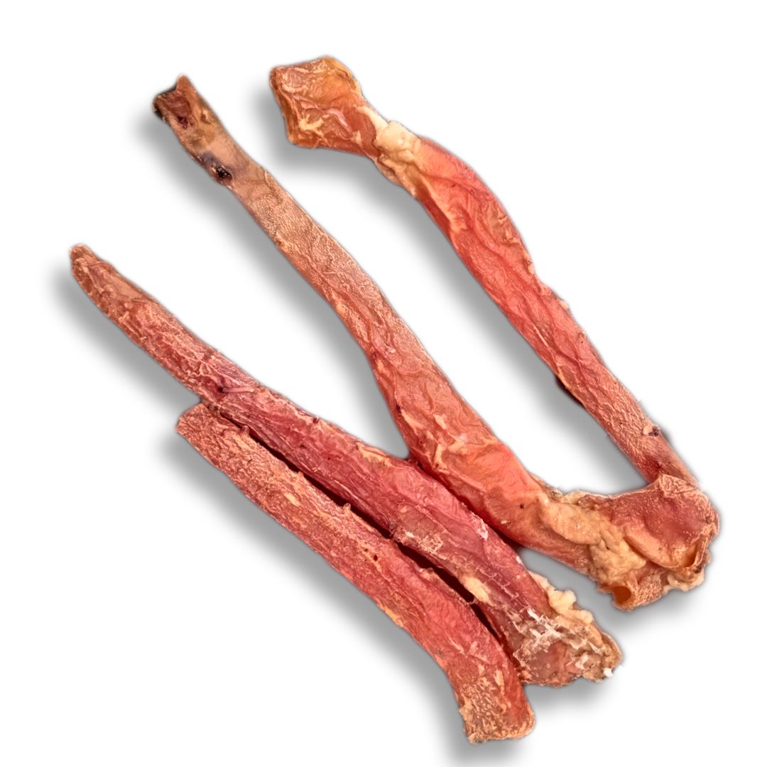 Aorta de Res