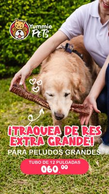 TRAQUEA DE RES EXTRA GRANDE