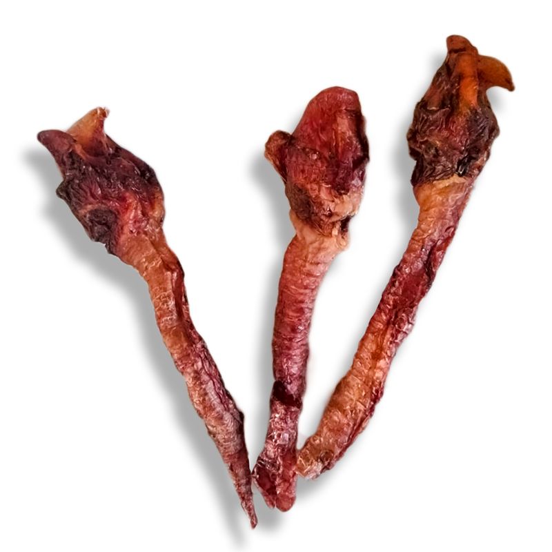 TRAQUEA DE CERDO PAQUETE TERMOENCOGIBLE 3 UNIDADES