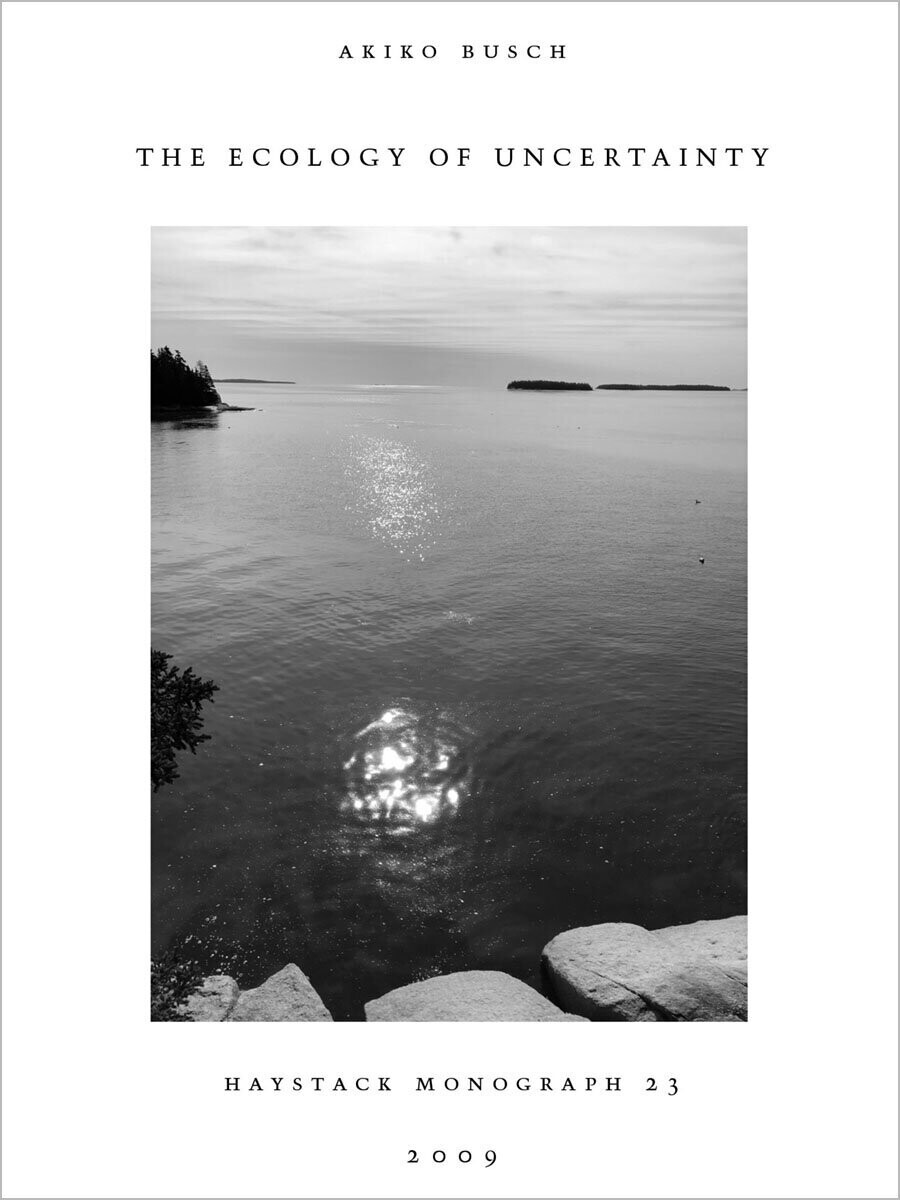 The Ecology of Uncertainty by Akiko Busch, #23