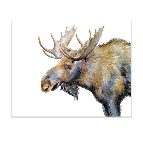 Moose Print