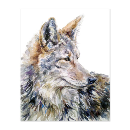 Coyote Print