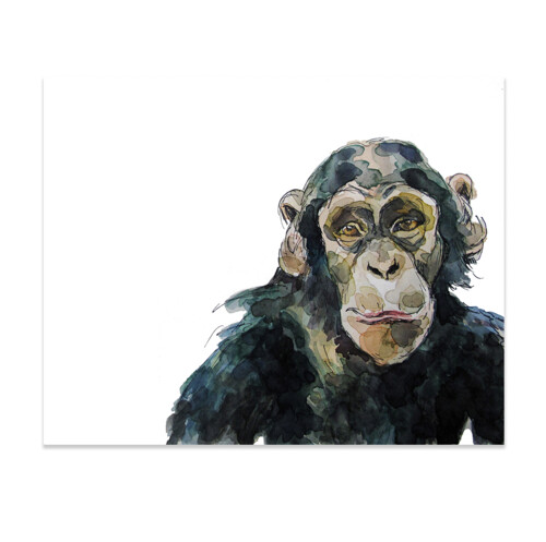 Chimpanzee Print
