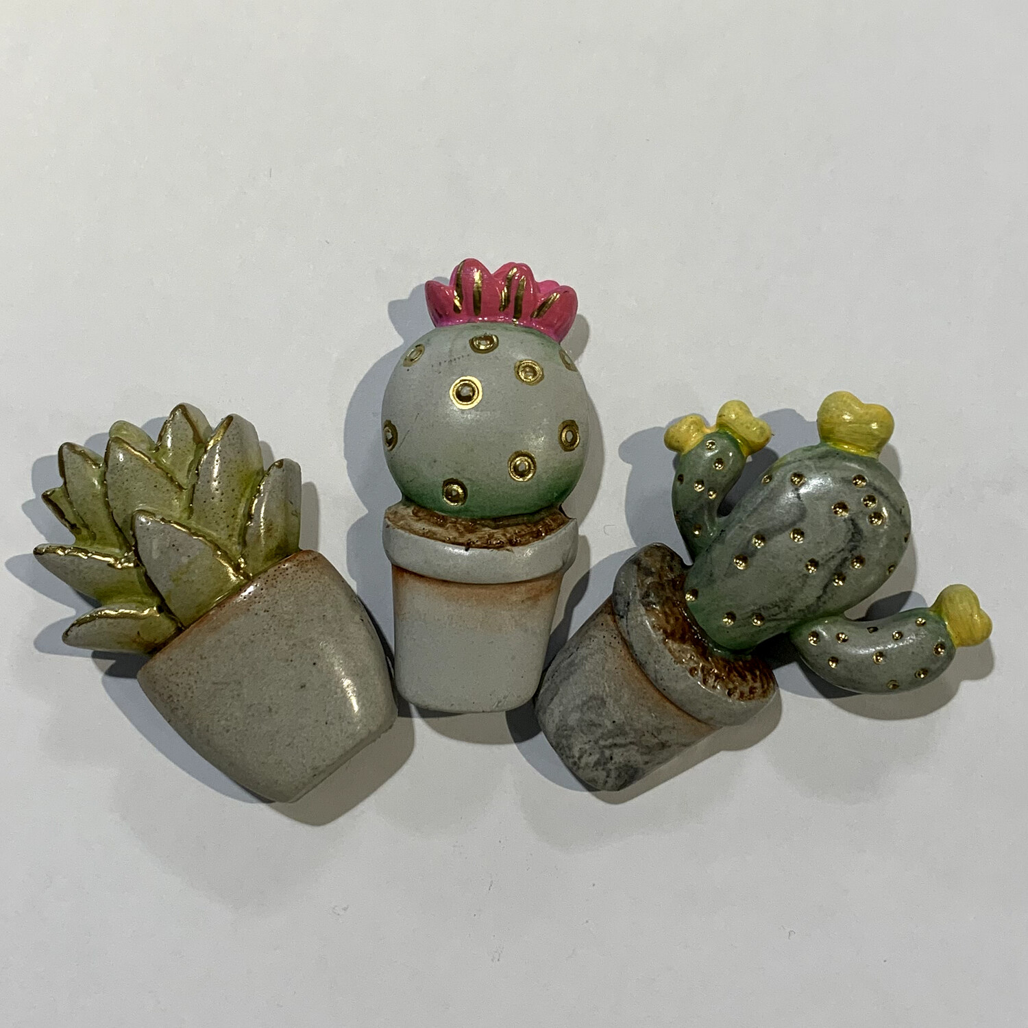 Plant/Cactus magnets