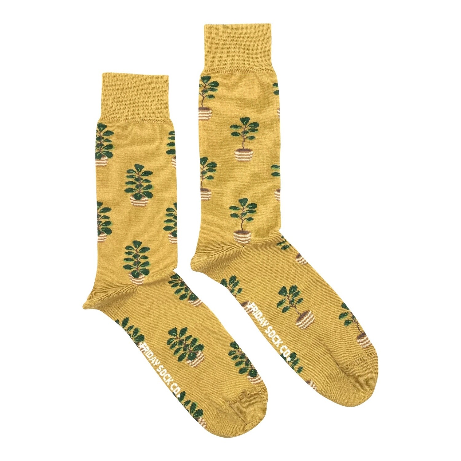 Men&#39;s Fiddle Leaf Fig Socks