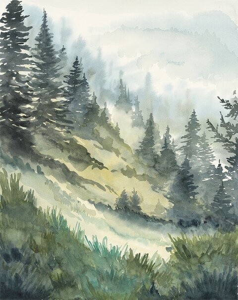 Hurricane Ridge