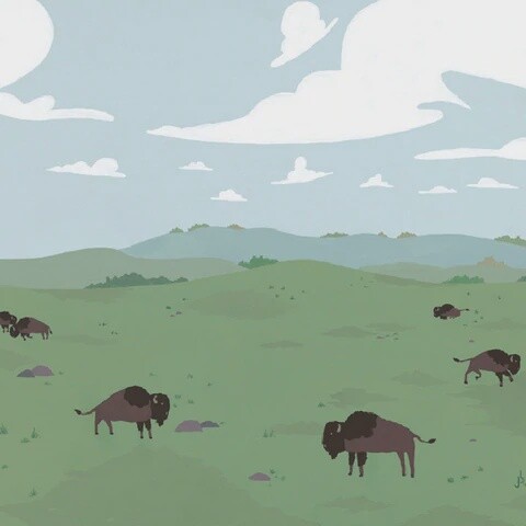 Art Print of Grasslands