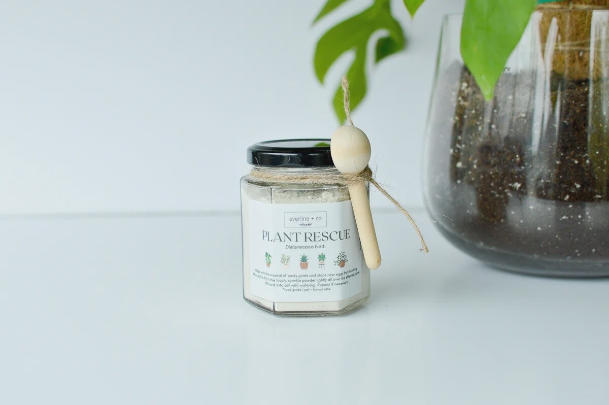 Plant Rescue