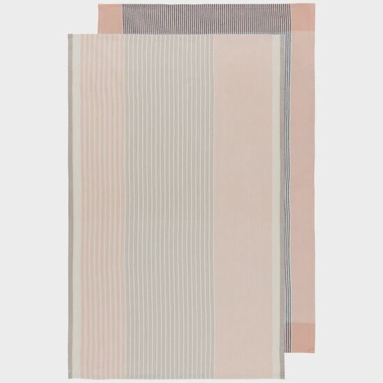 Nectar Array Stripe Dishtowel Set of 2