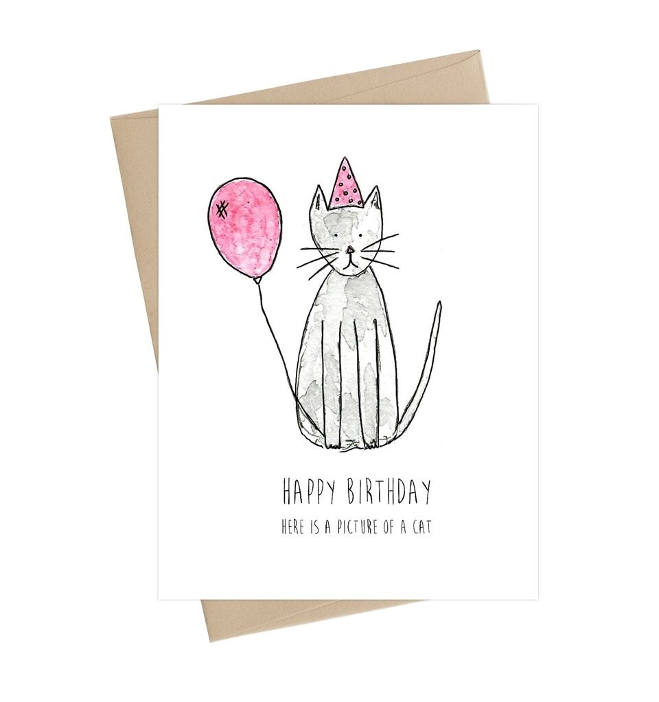 Cat Bday