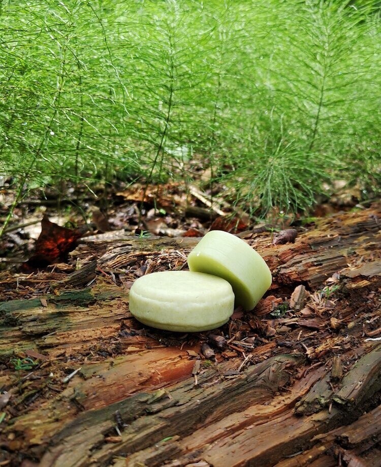 Natural Shampoo, Scent: Go Green