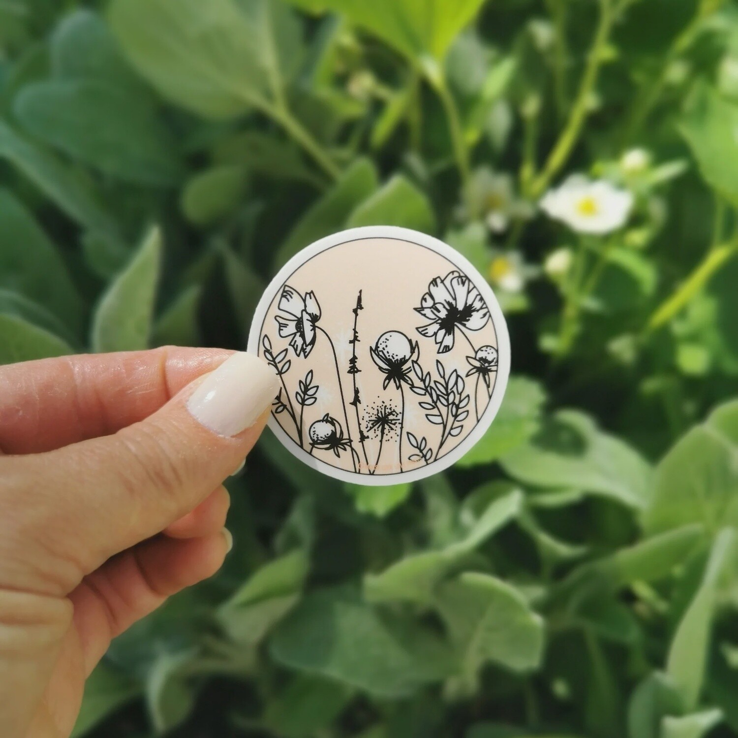 Wildflowers