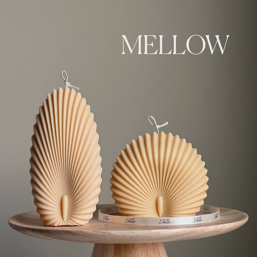Shell Set Candle