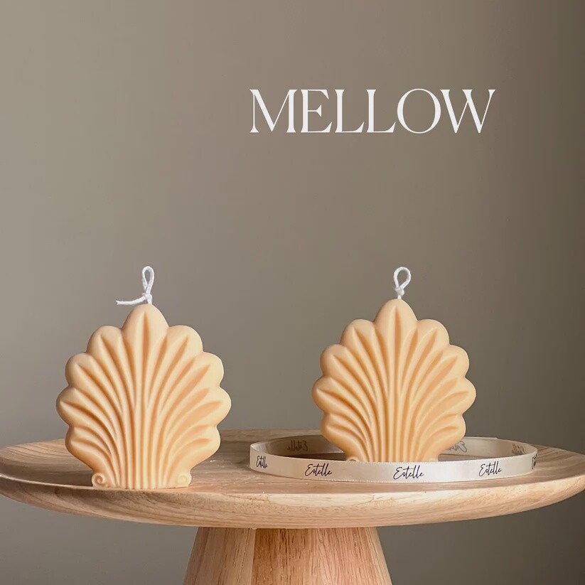 Shell Candle
