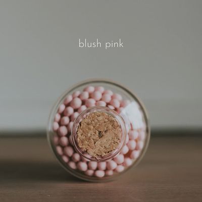 Boho Branches - Blush Pink