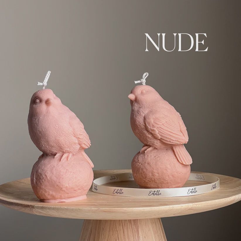 Cute Bird On Stone Candle