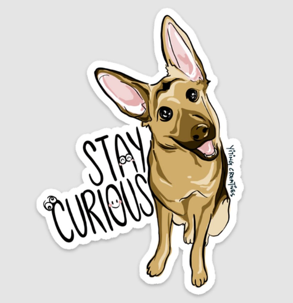 Stay Curious Sticker