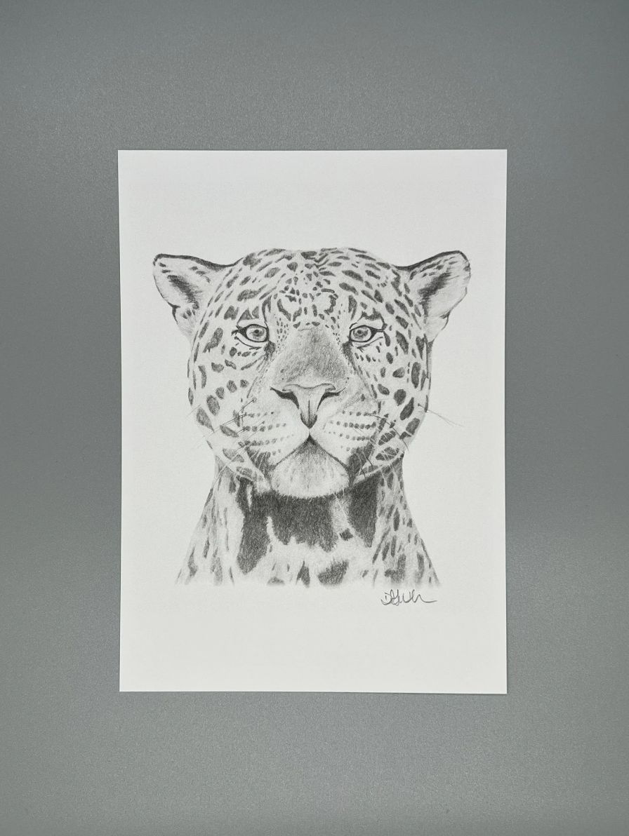 Proud Jaguar