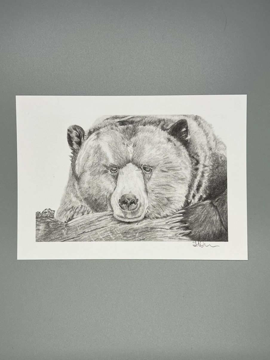 Grumpy Grizzly