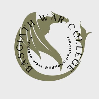 Basgiath War College Car Diffuser