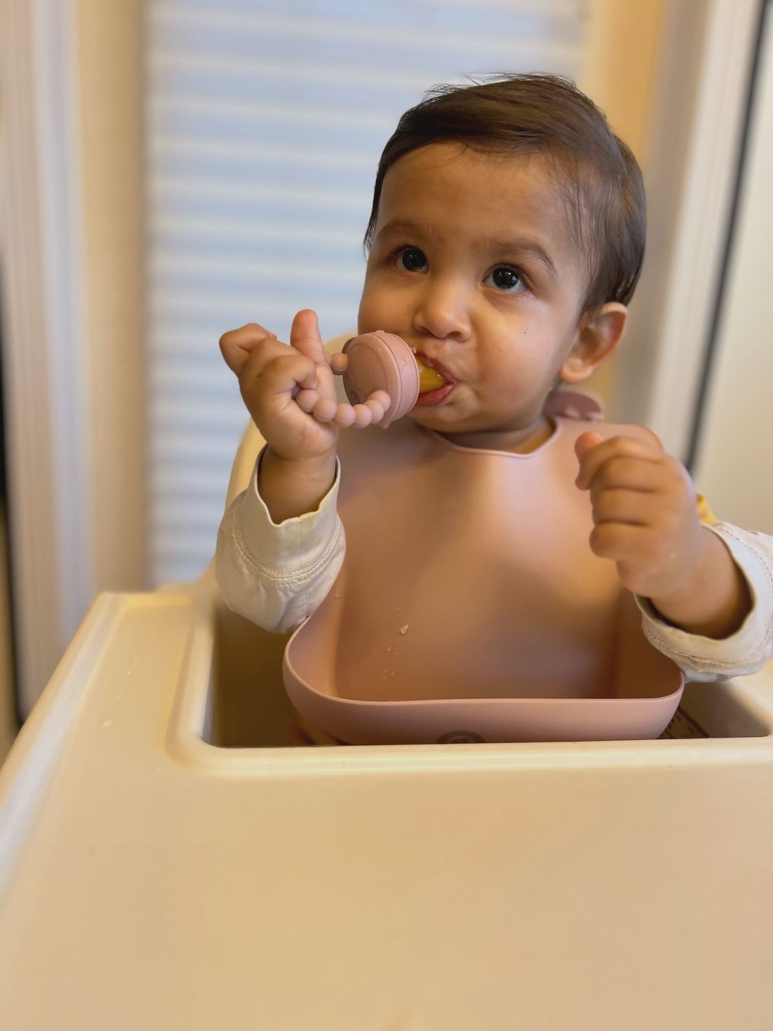 Fruit feeder and teether