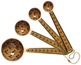 Set/4 Measuring Spoons Zest