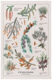 Pinecones Dishtowel
