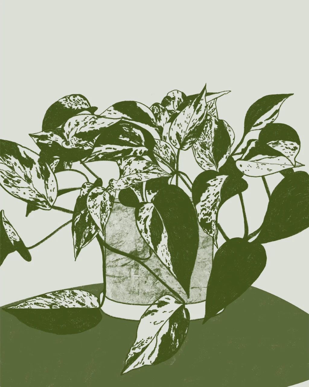 Pothos Plant Print, Size: Small
