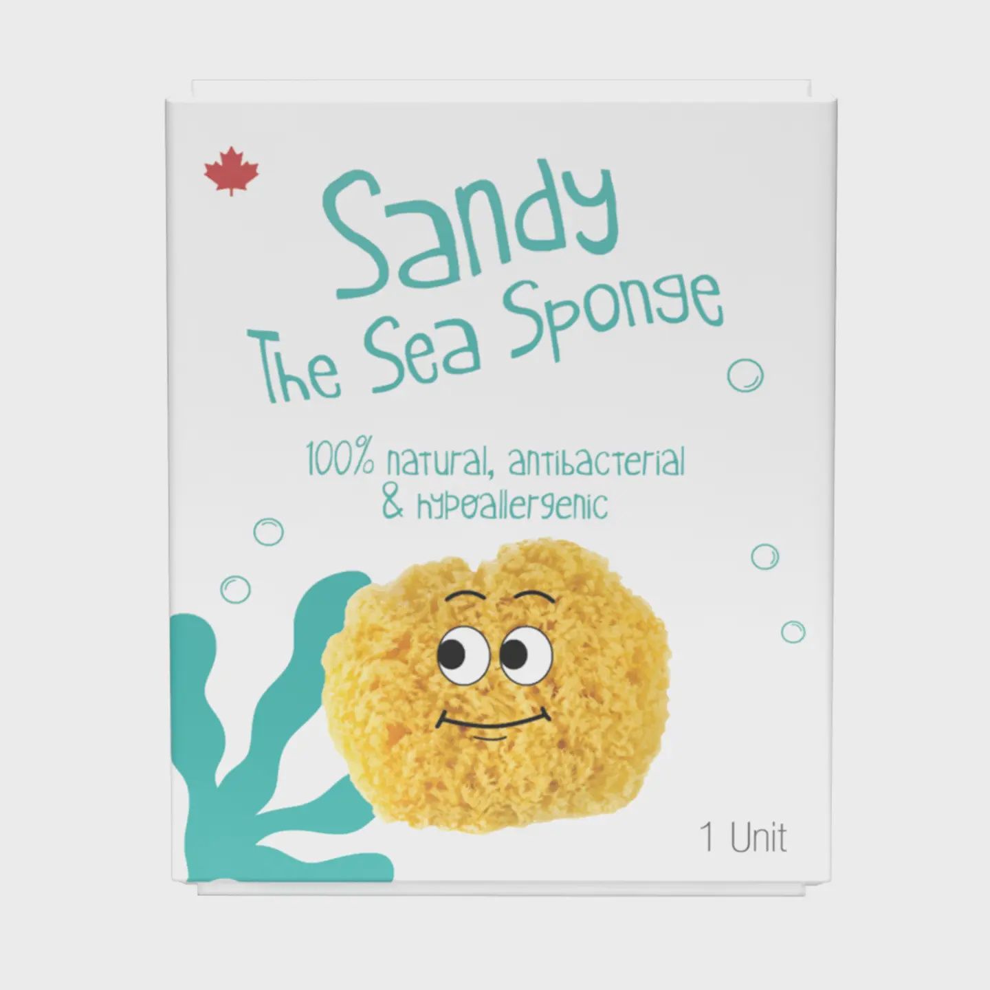 Sandy The Sea Sponge