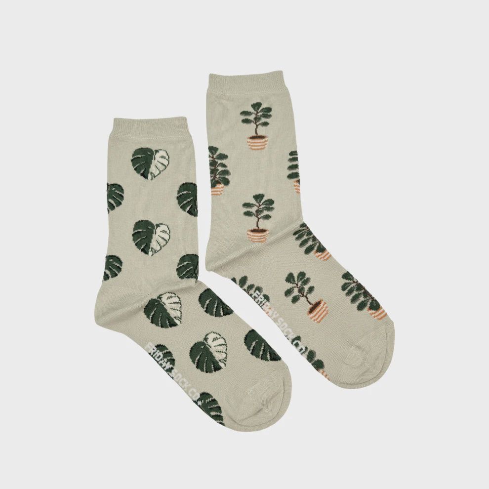 Women's Big House Plant Socks