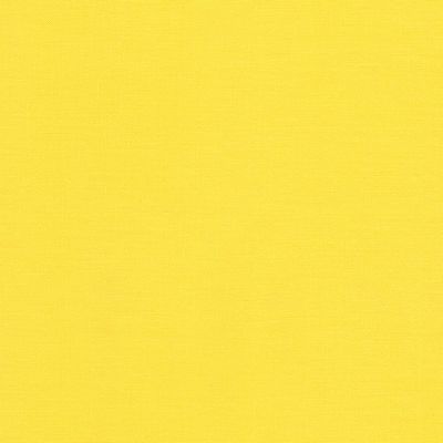 Kona Cotton in Bright Idea