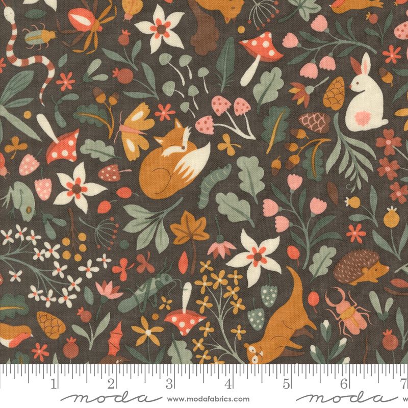 Flora and Fauna in Soil