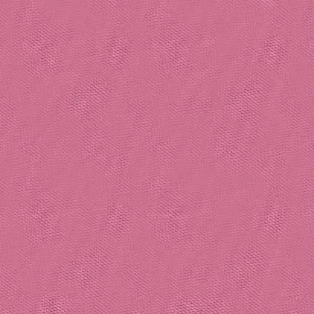 Bella in English Rose