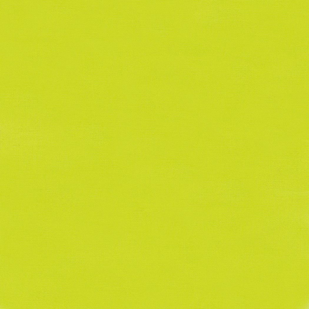 Bella in Mojito