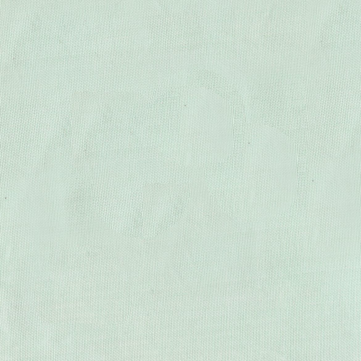 Artisan Cotton in White/Aqua