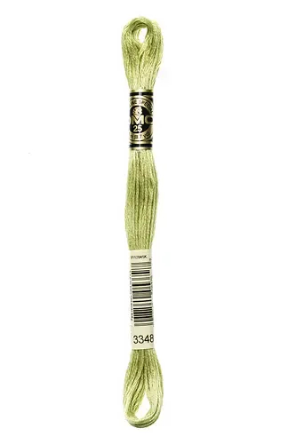 Embroidery Floss in Scallion 3348